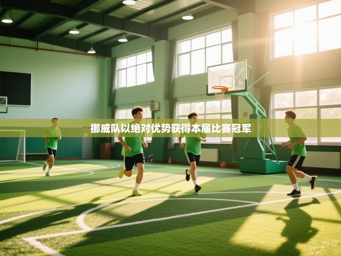 挪威队以绝对优势获得本届比赛冠军