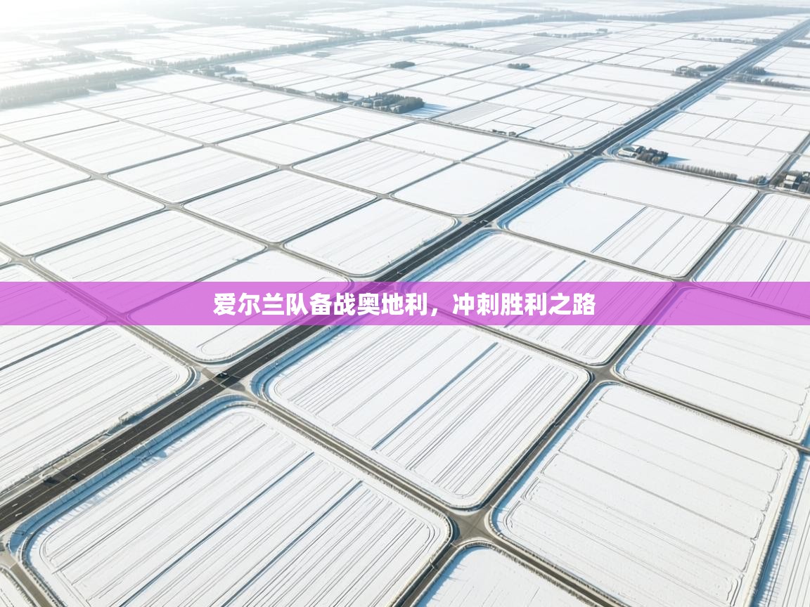 爱尔兰队备战奥地利,冲刺胜利之路 第1张