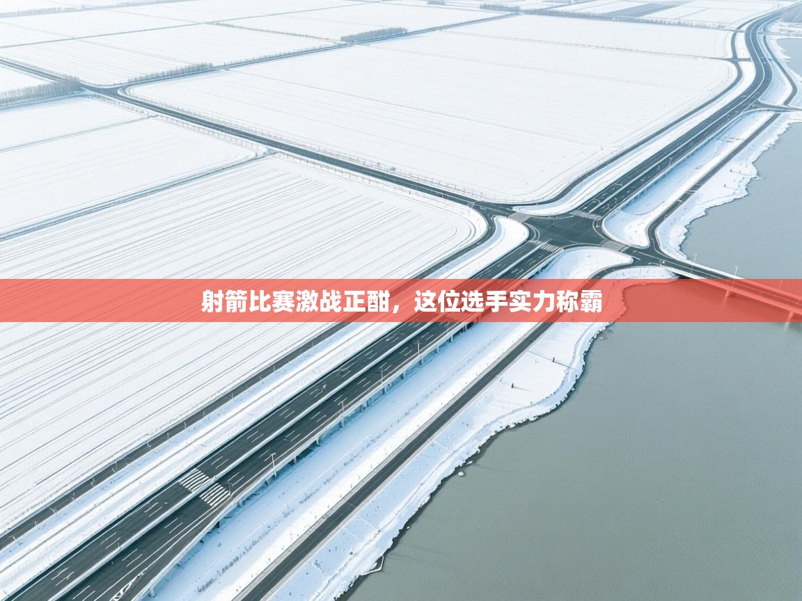 射箭比赛激战正酣，这位选手实力称霸  第1张