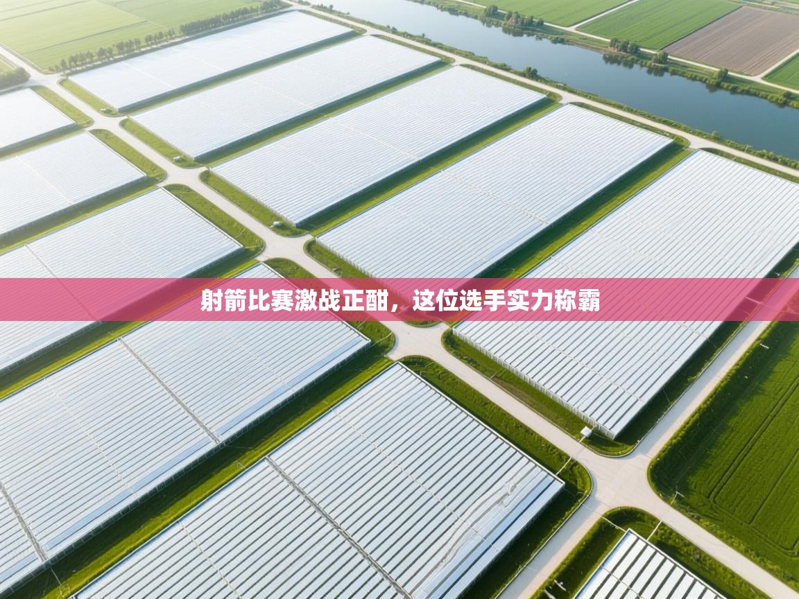 射箭比赛激战正酣，这位选手实力称霸  第2张