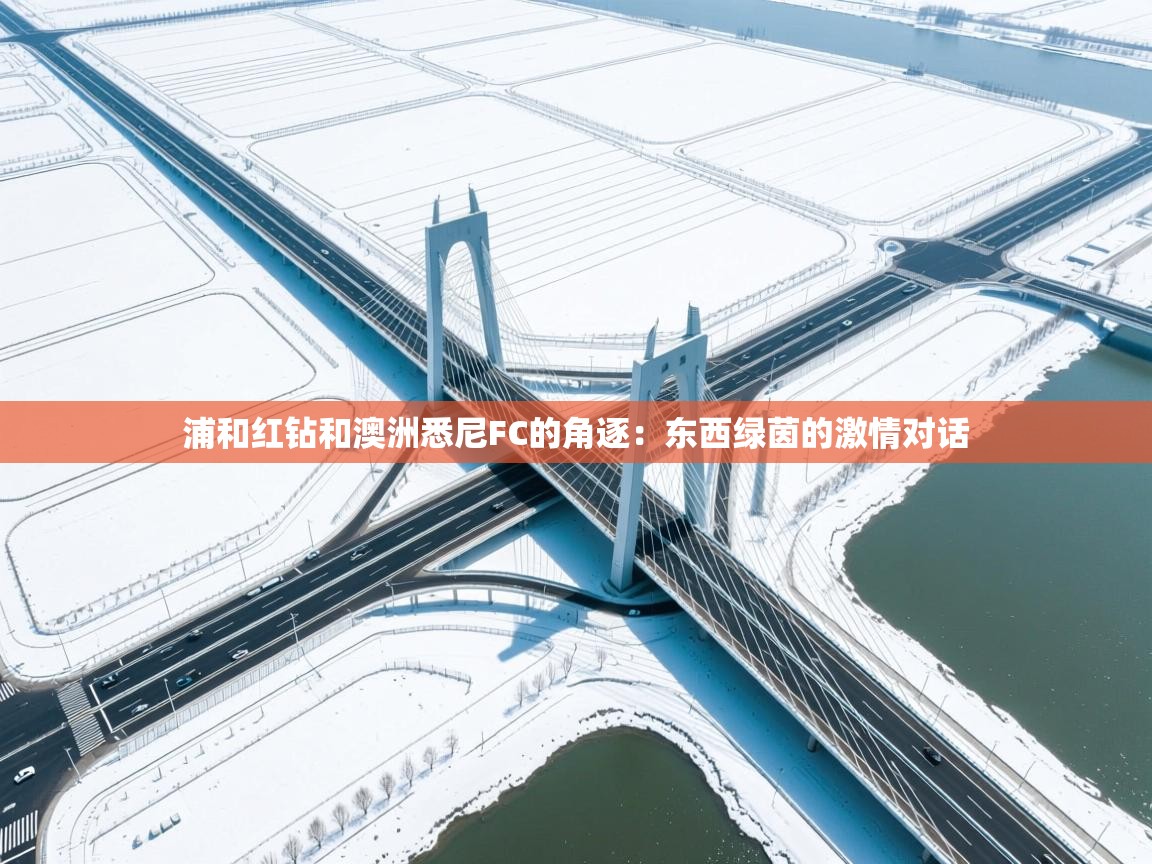 浦和红钻和澳洲悉尼FC的角逐：东西绿茵的激情对话