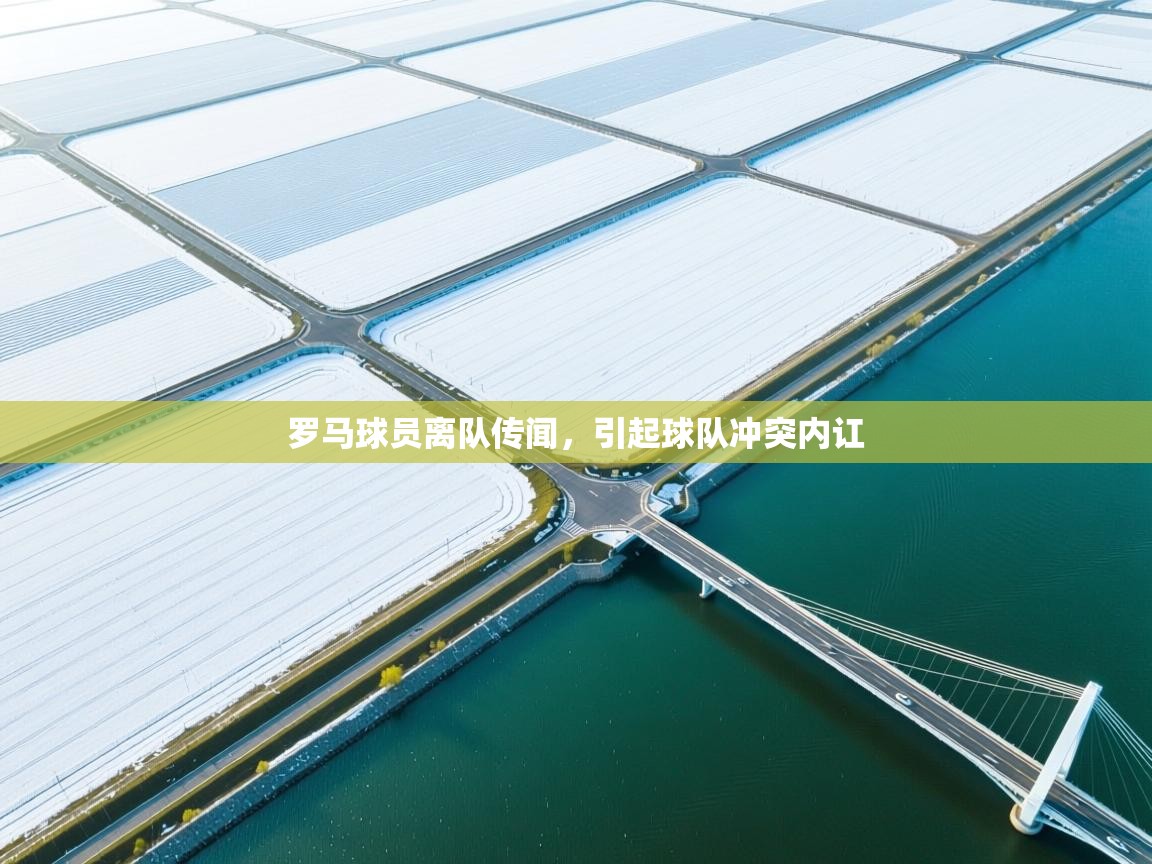 罗马球员离队传闻，引起球队冲突内讧