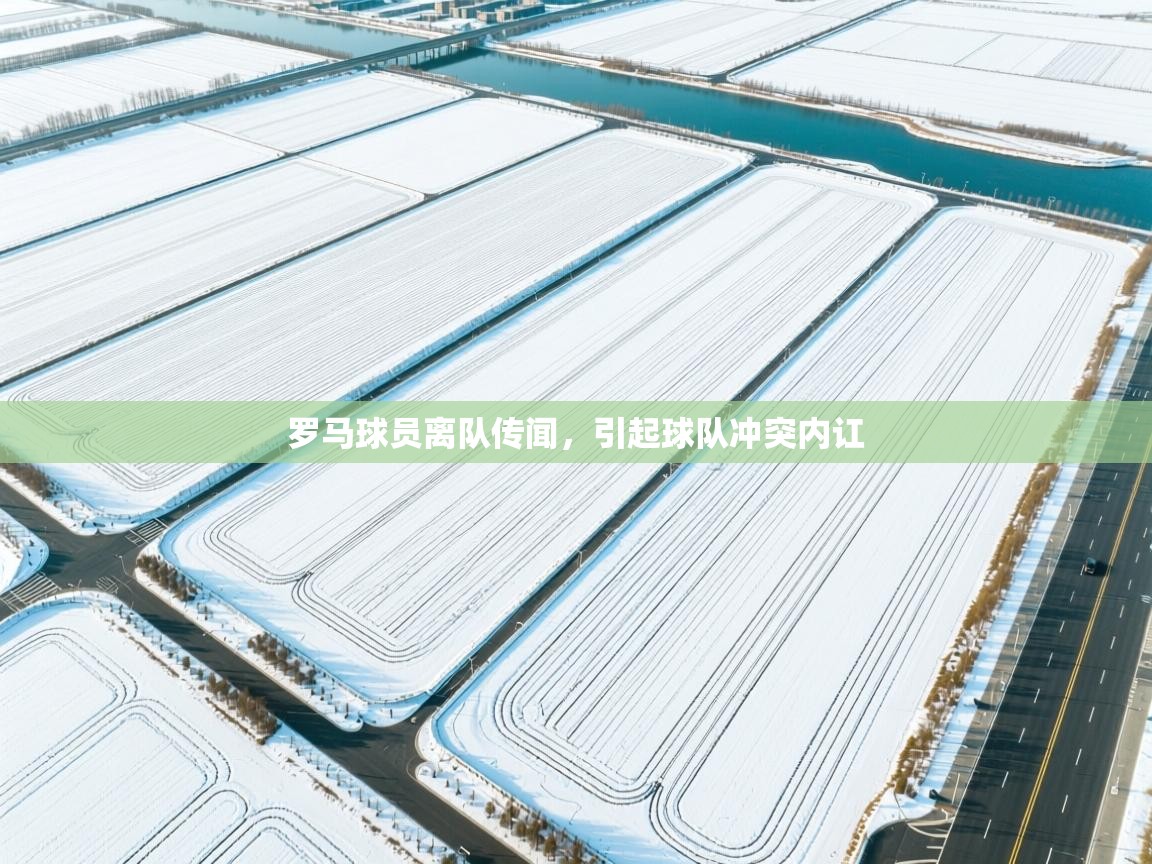 罗马球员离队传闻,引起球队冲突内讧 第2张