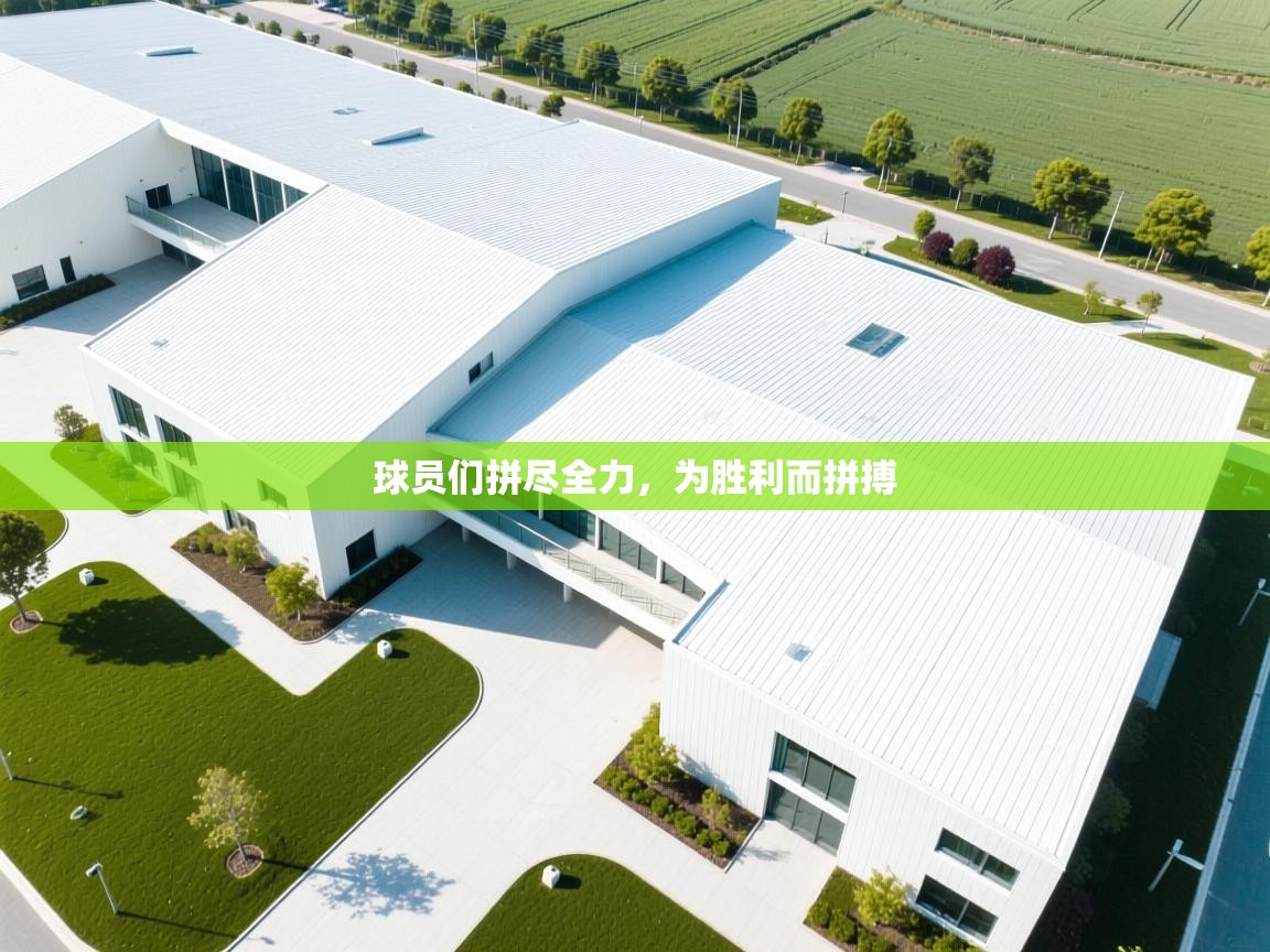 球员们拼尽全力，为胜利而拼搏