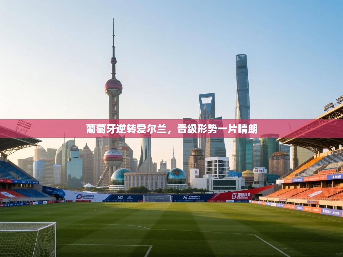 葡萄牙逆转爱尔兰,晋级形势一片晴朗 第2张