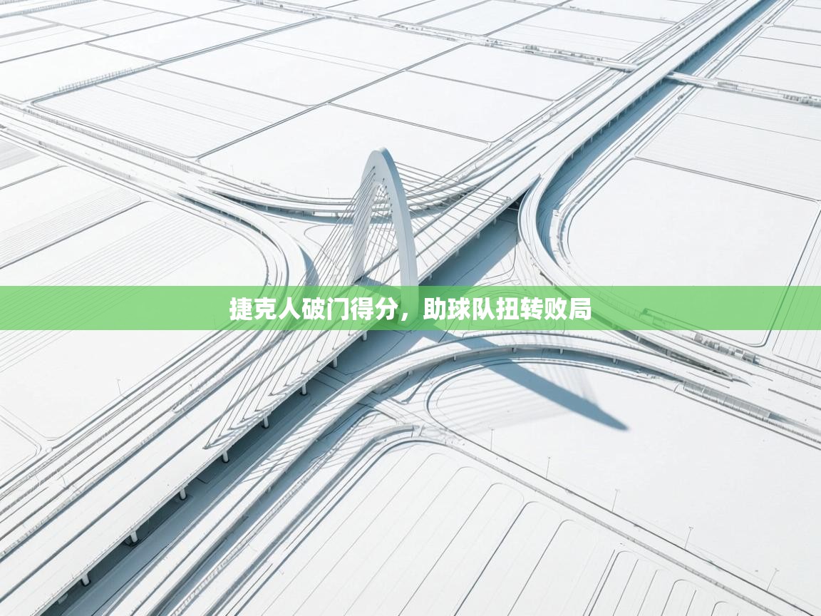 捷克人破门得分,助球队扭转败局 第2张