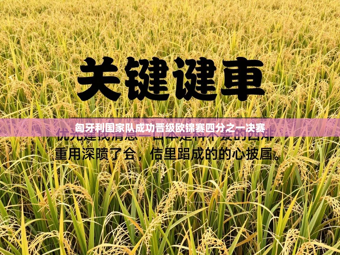 匈牙利国家队成功晋级欧锦赛四分之一决赛  第2张